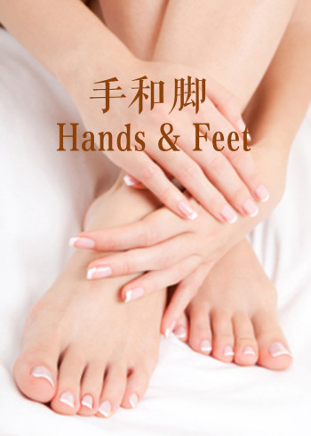 手和脚