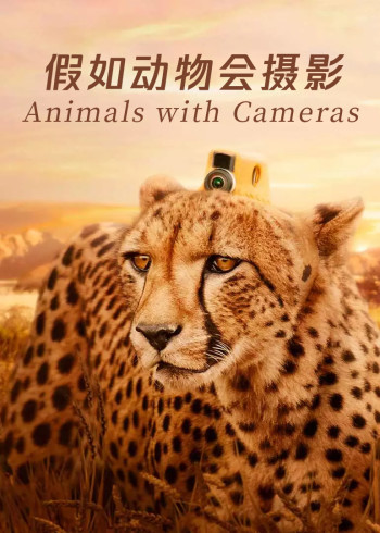 假如动物会摄影[英语语]