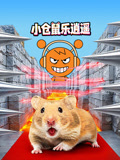 小仓鼠乐逍遥