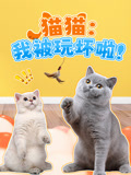 猫猫我被玩坏啦