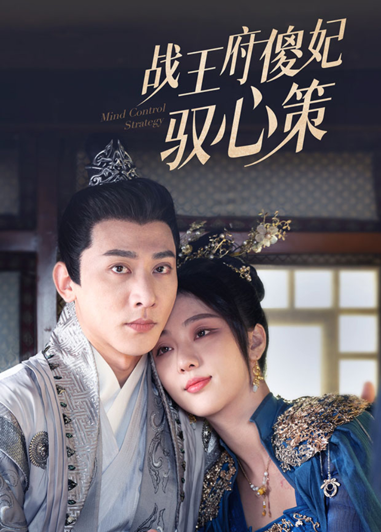 战王府傻妃驭心策