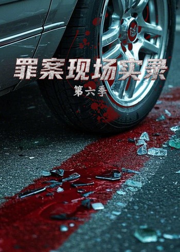 罪案现场实录第6季