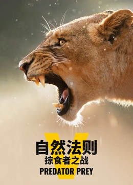 自然法则掠食者之战