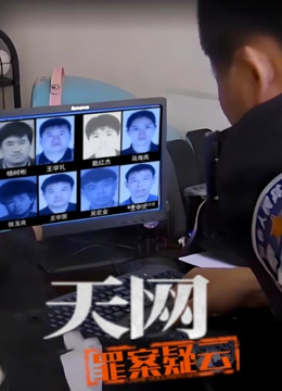 天网罪案疑云