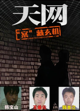 天网“案”藏玄机