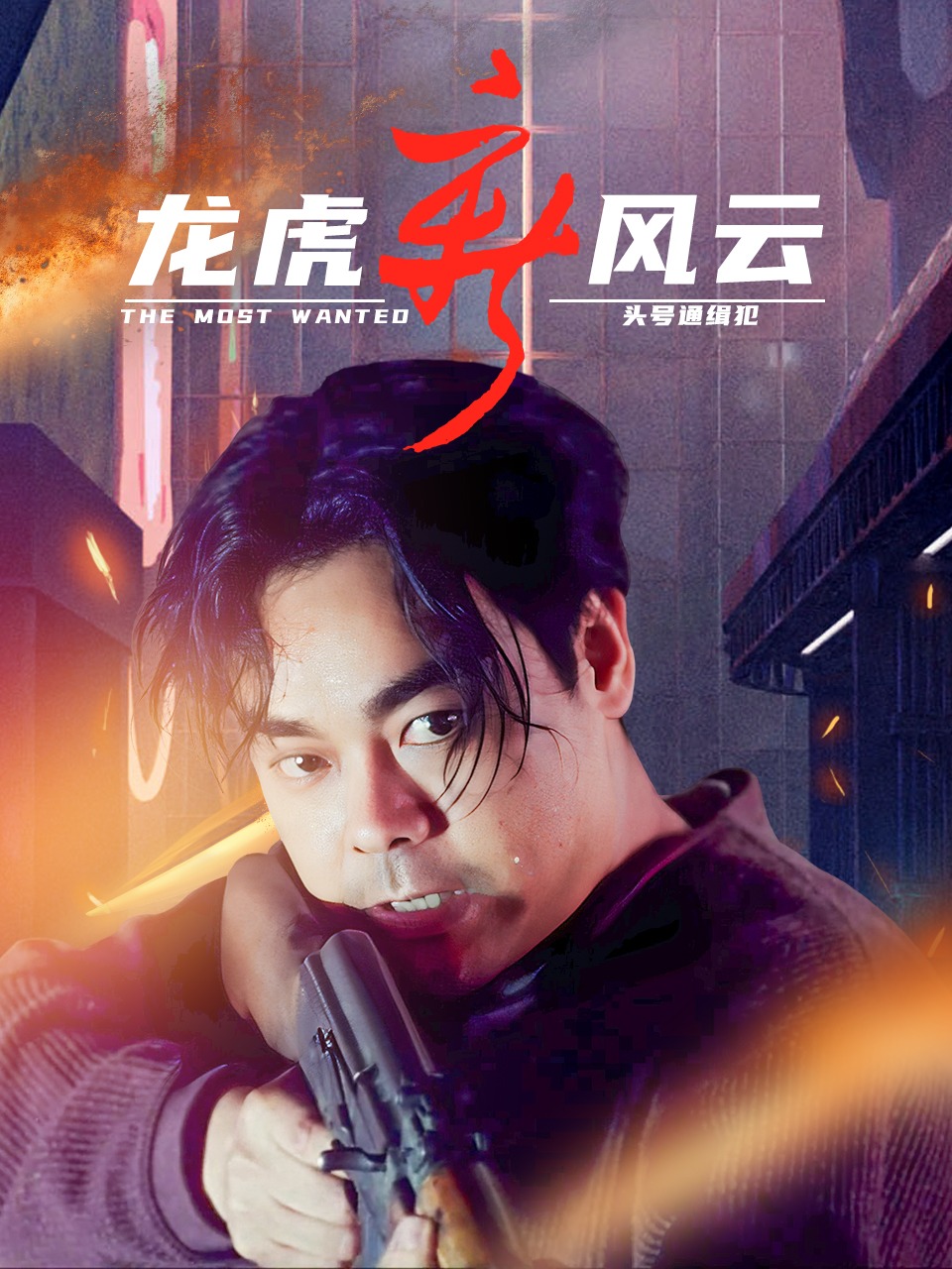 龙虎新风云头号通缉犯