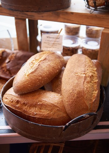 瑞秋的海岸烹饪第1季