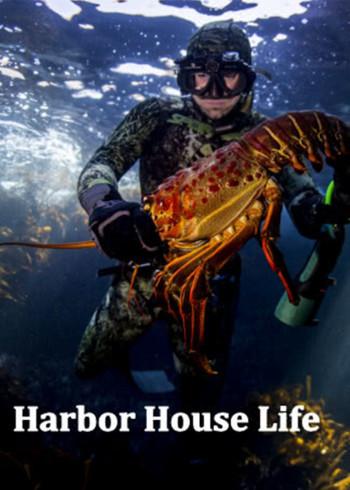HarborHouseLife2016