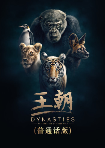 王朝[普通话版]