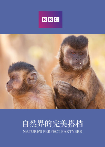 自然世界自然界的完美搭档