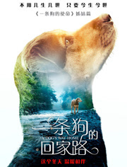 一条狗的回家路（普通话）
