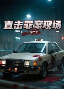 直击罪案现场第2季