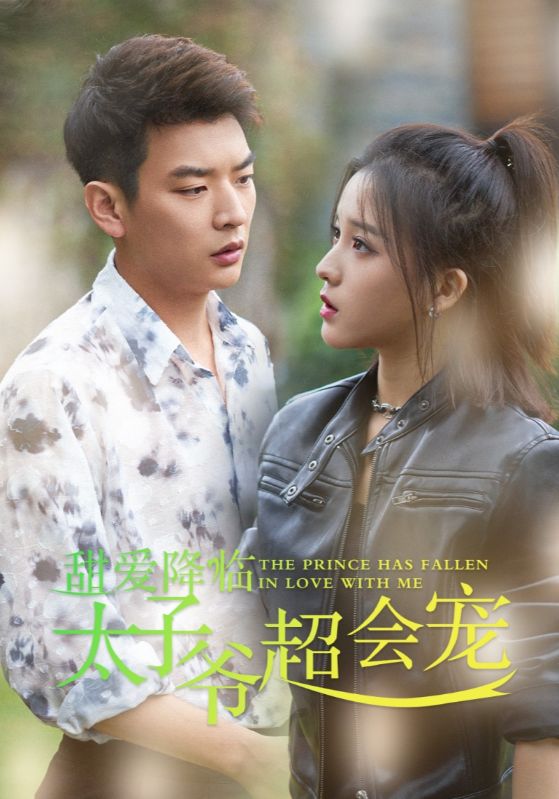 甜爱降临太子爷超会宠需改名