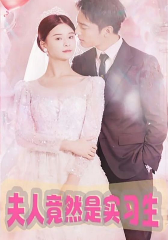 夫人竟然是实习生