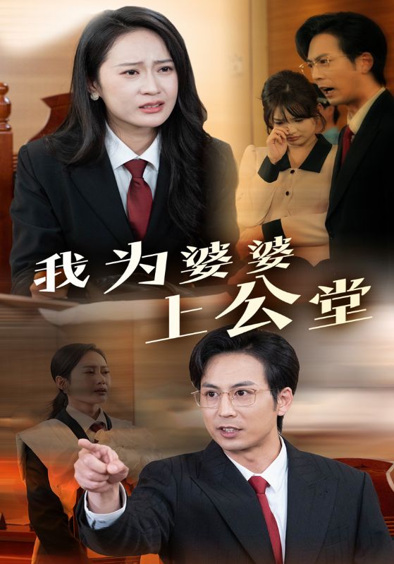 我为婆婆上公堂