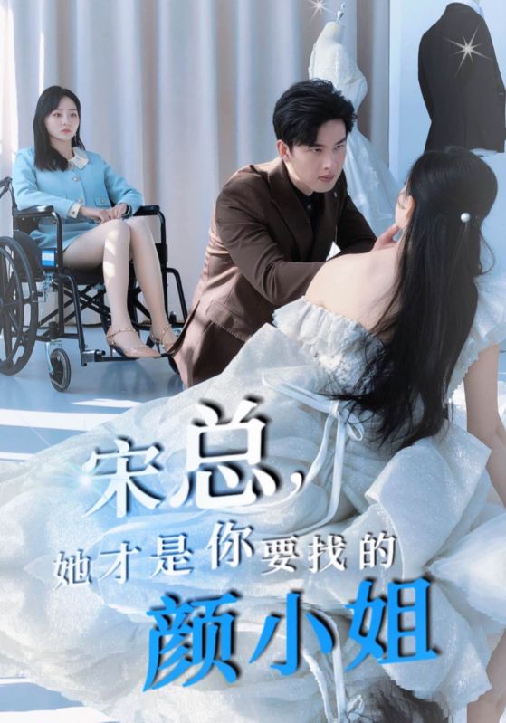 宋总，她才是你要找的颜小姐