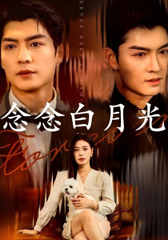 念念白月光