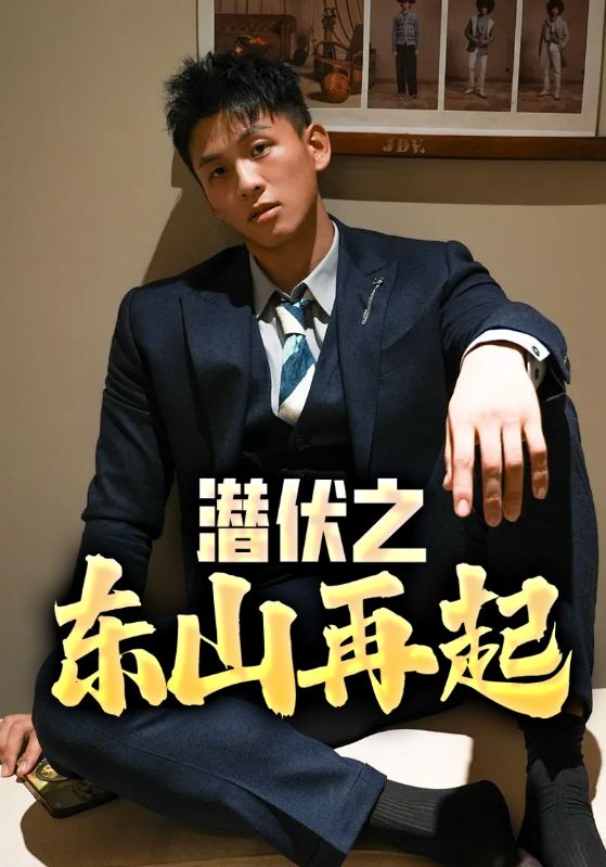 豪门赘婿的逆袭