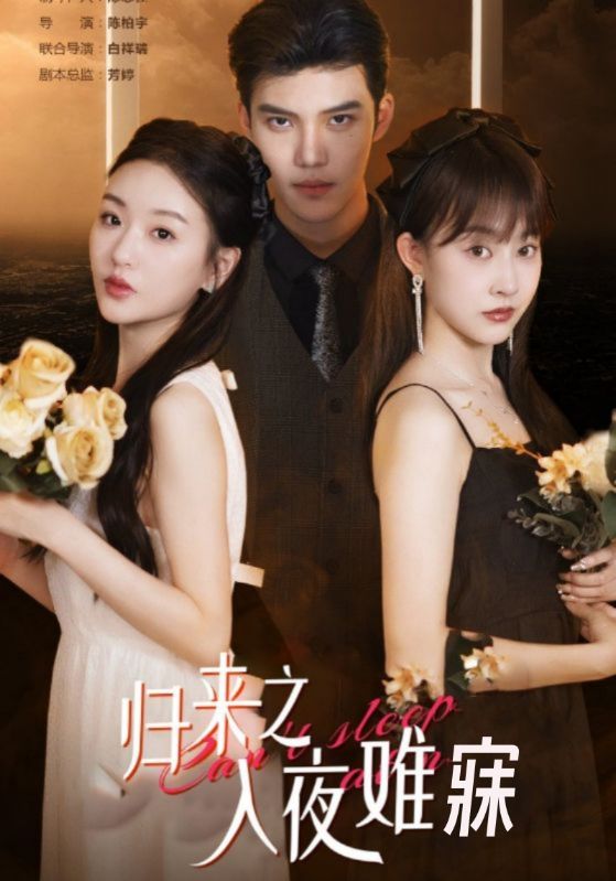 姐姐归来，豪门老公夜不能寐