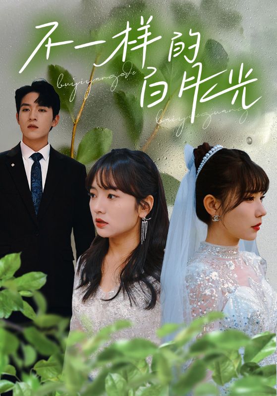 她才是总裁的白月光/她才是大佬的白月光