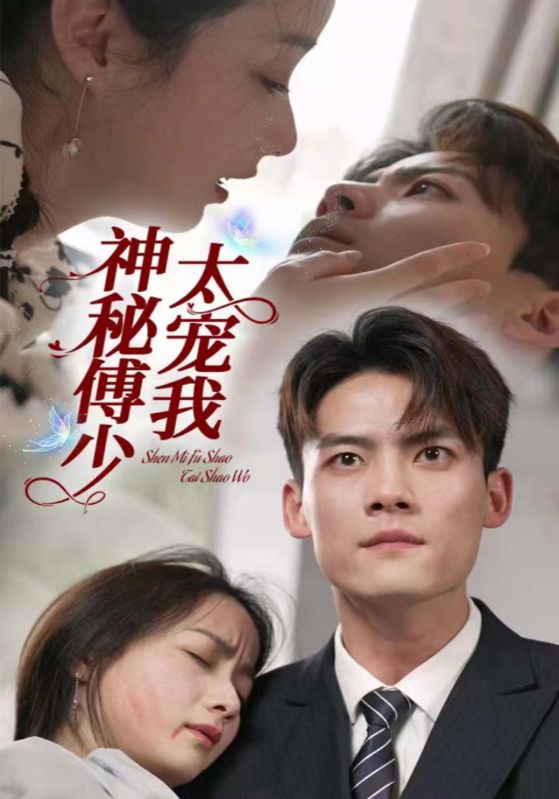 神秘傅少太宠我