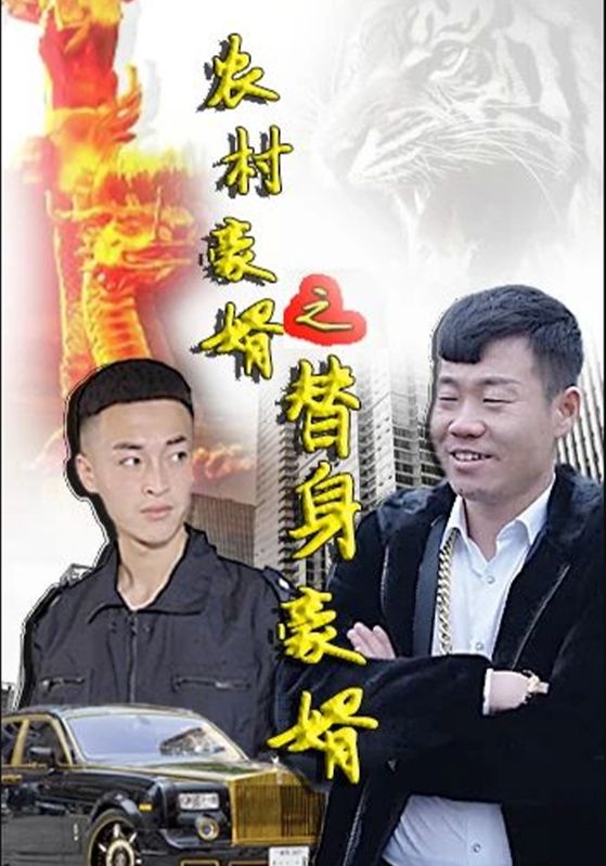 农村豪婿之替身豪婿