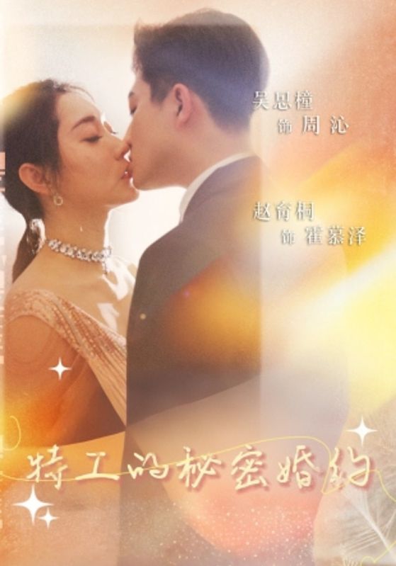 特工的秘密婚约