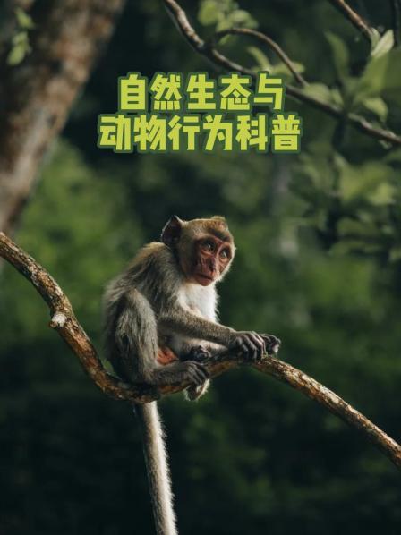自然生态与动物行为科普