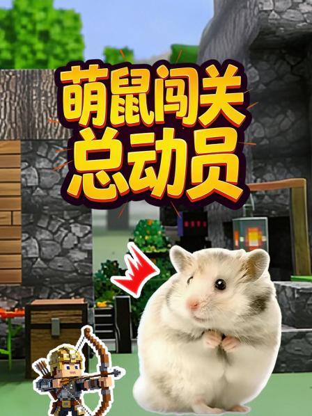 萌鼠闯关总动员