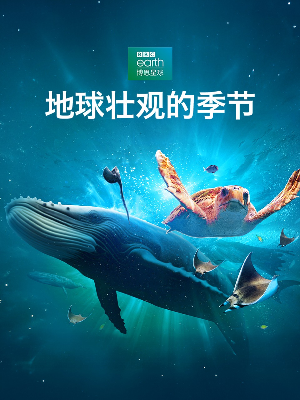 地球壮观的季节