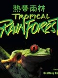 热带雨林