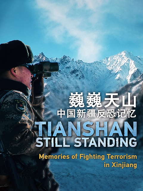 巍巍天山——大陆新疆反恐记忆