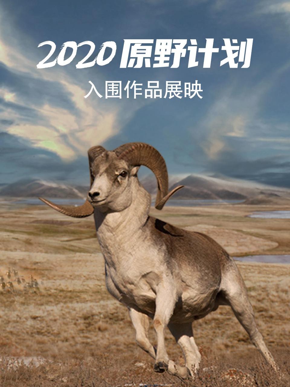 2020原野计划入围作品展映