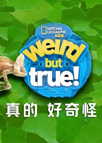 真的好奇怪第2季