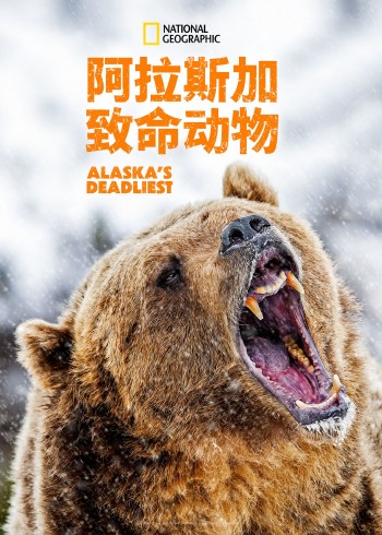 阿拉斯加致命动物第1季