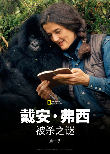 戴安弗西被杀之谜第1季