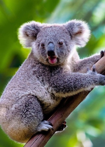 爱生活，爱动物