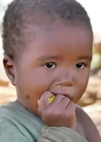 大杠带你看世界