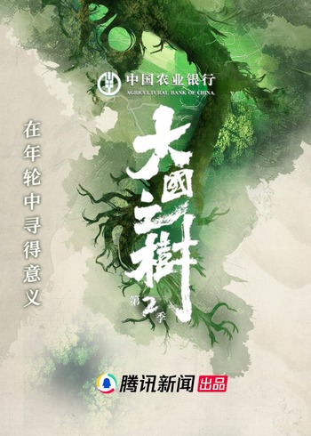 大国之树第2季