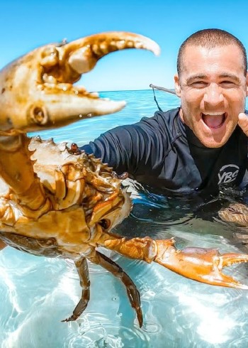 国外红树林抓青蟹，深海捕捞鱼群，泥滩抓竹节虾