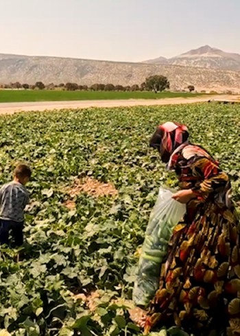 伊朗游牧生活矛盾