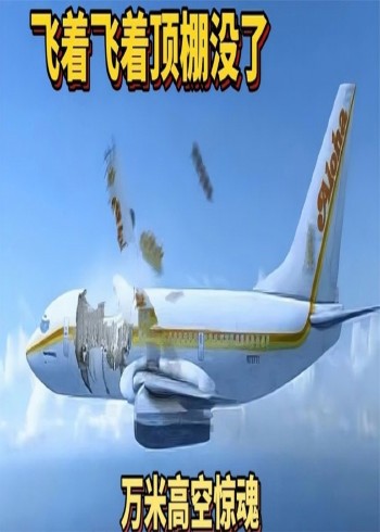 真实空难讲述