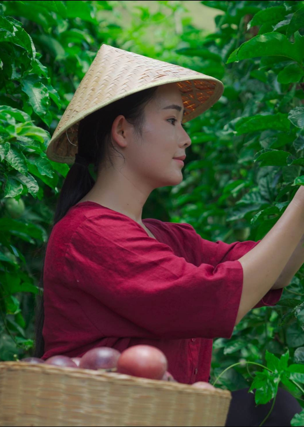 滇西小哥的一席一果