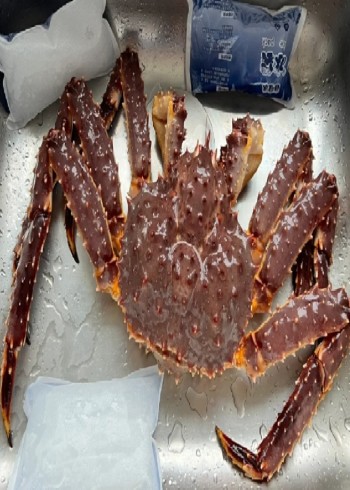 国外赶海捕捞帝王蟹雪蟹珍宝蟹