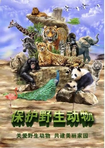 保护野生动物人人有责