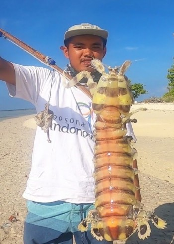 国外赶海抓皮皮虾，泥滩红树林抓青蟹，出海捕捞鱼群