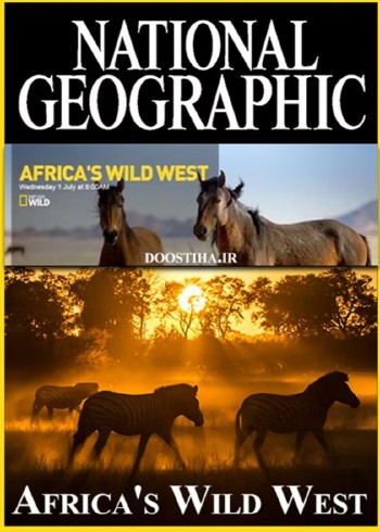 阿翻的动物世界