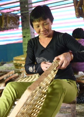 晓枫讲述世间百态