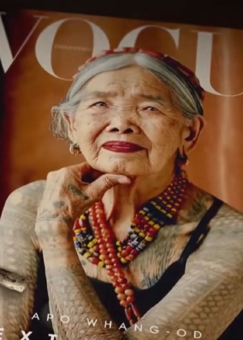 小新陪你看世界