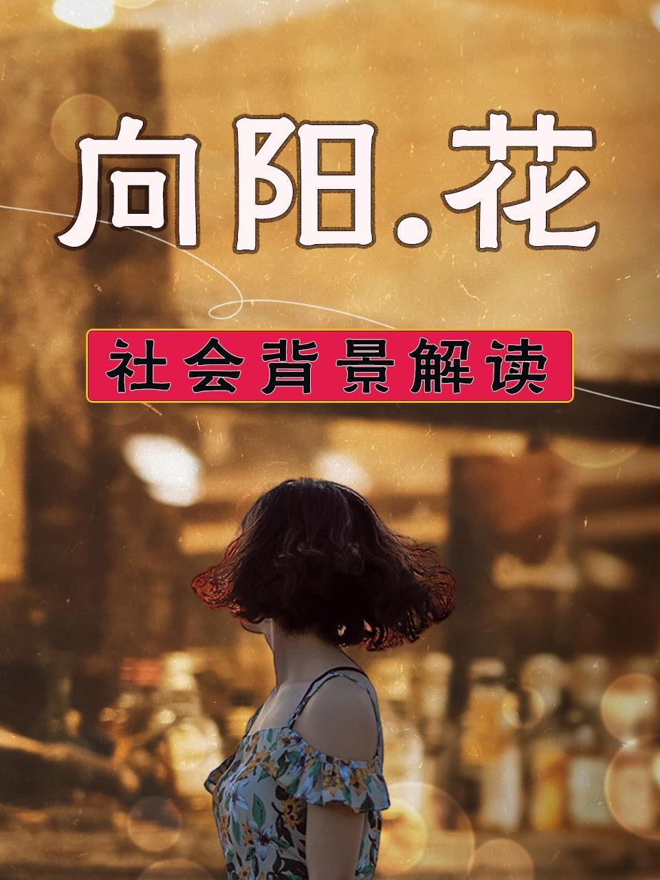 《向阳花》社会背景解读